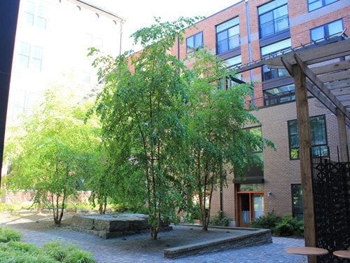 Building Photo - 251 Heath St
