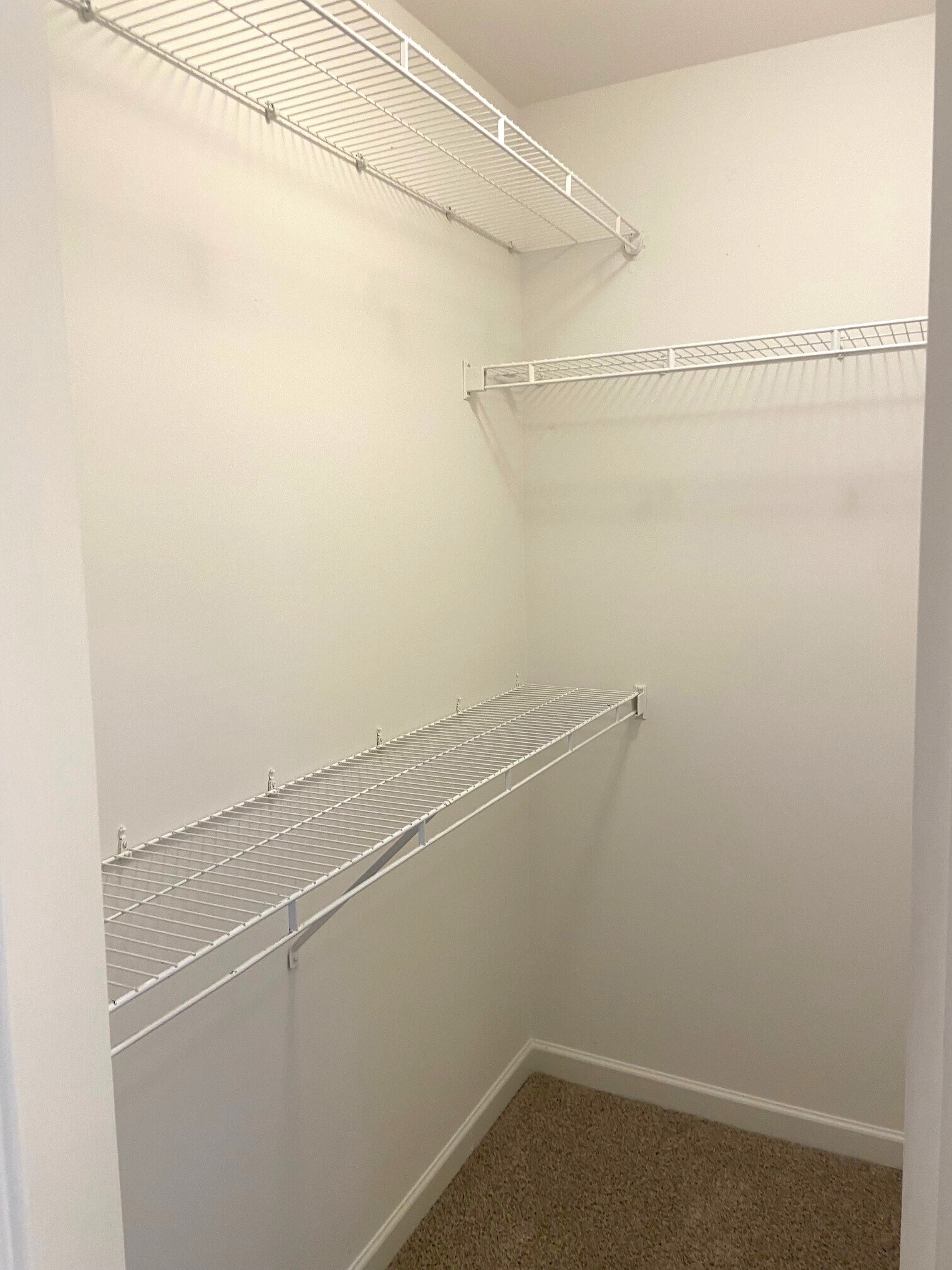 Building Photo - 336 Oak Leaf Cir