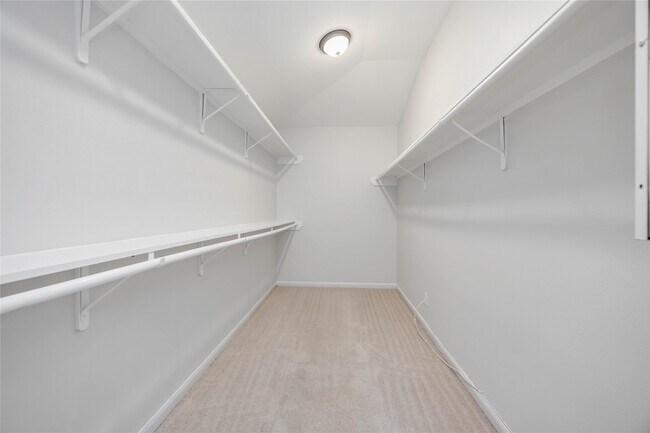 Building Photo - 10123 Twila Springs Ct