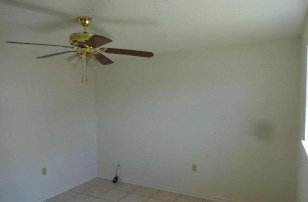 Building Photo - 4709 Shalimar Dr