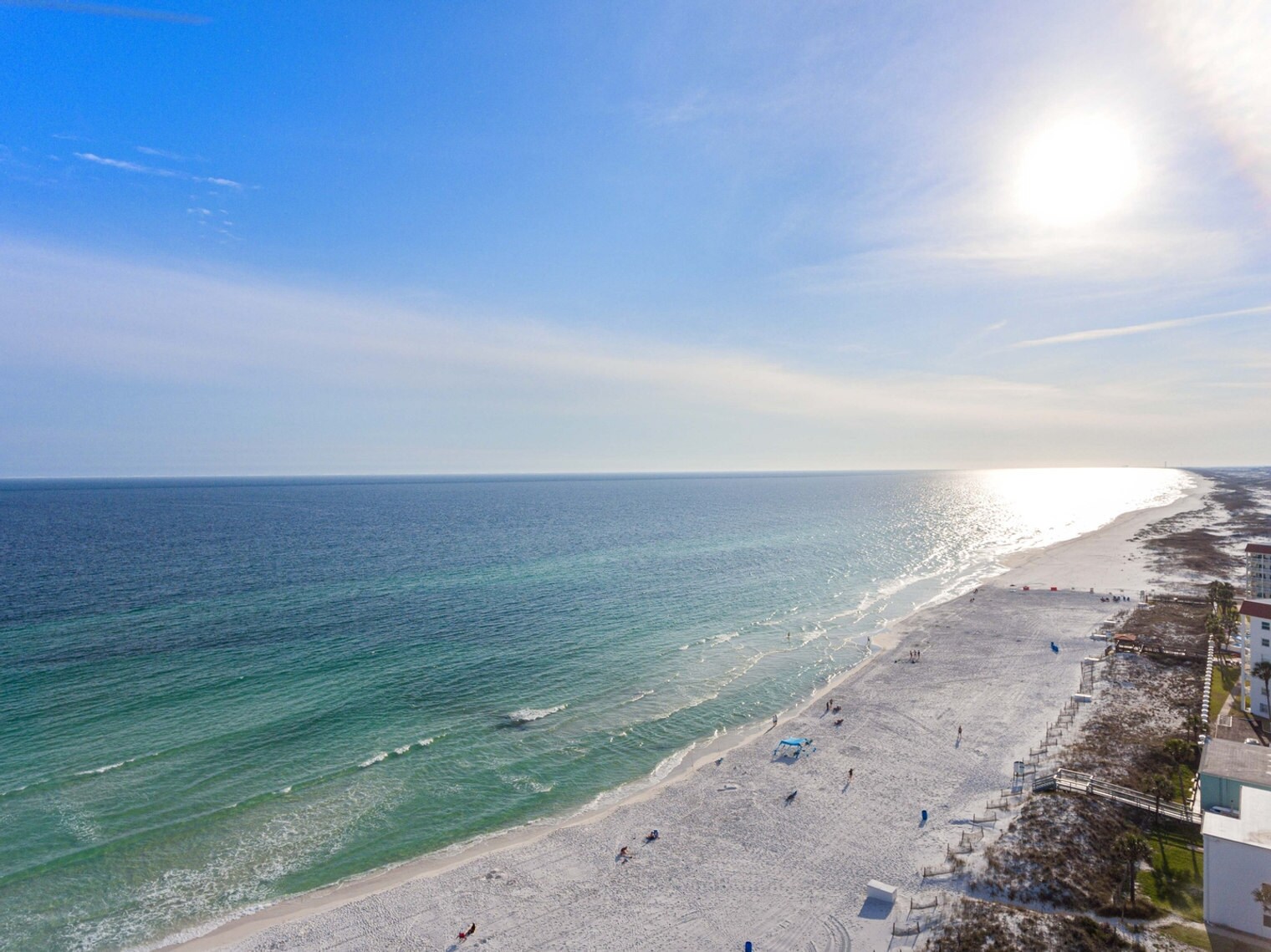 Building Photo - 928 Whelk Ct