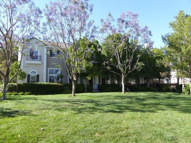 Building Photo - Bridgeport 3 Bedroom Townhome in Valencia!