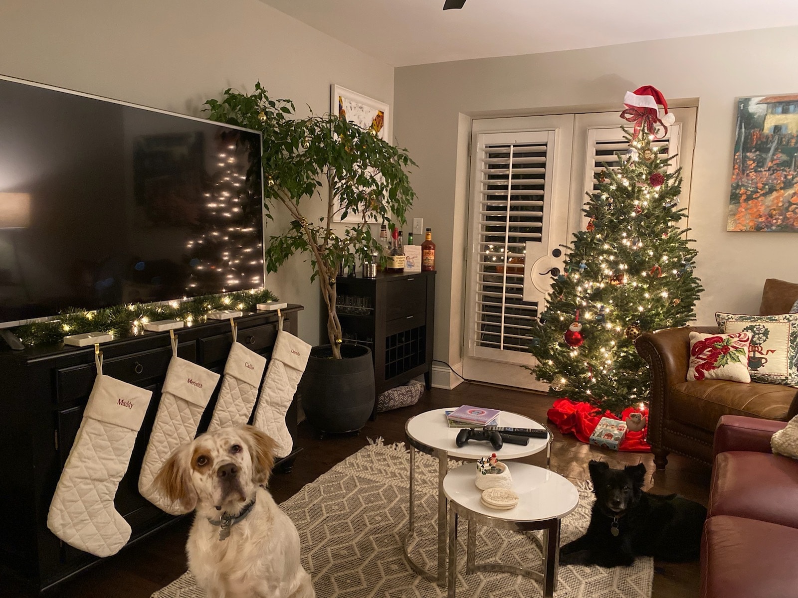 Building Photo - 227 N Dotger Ave