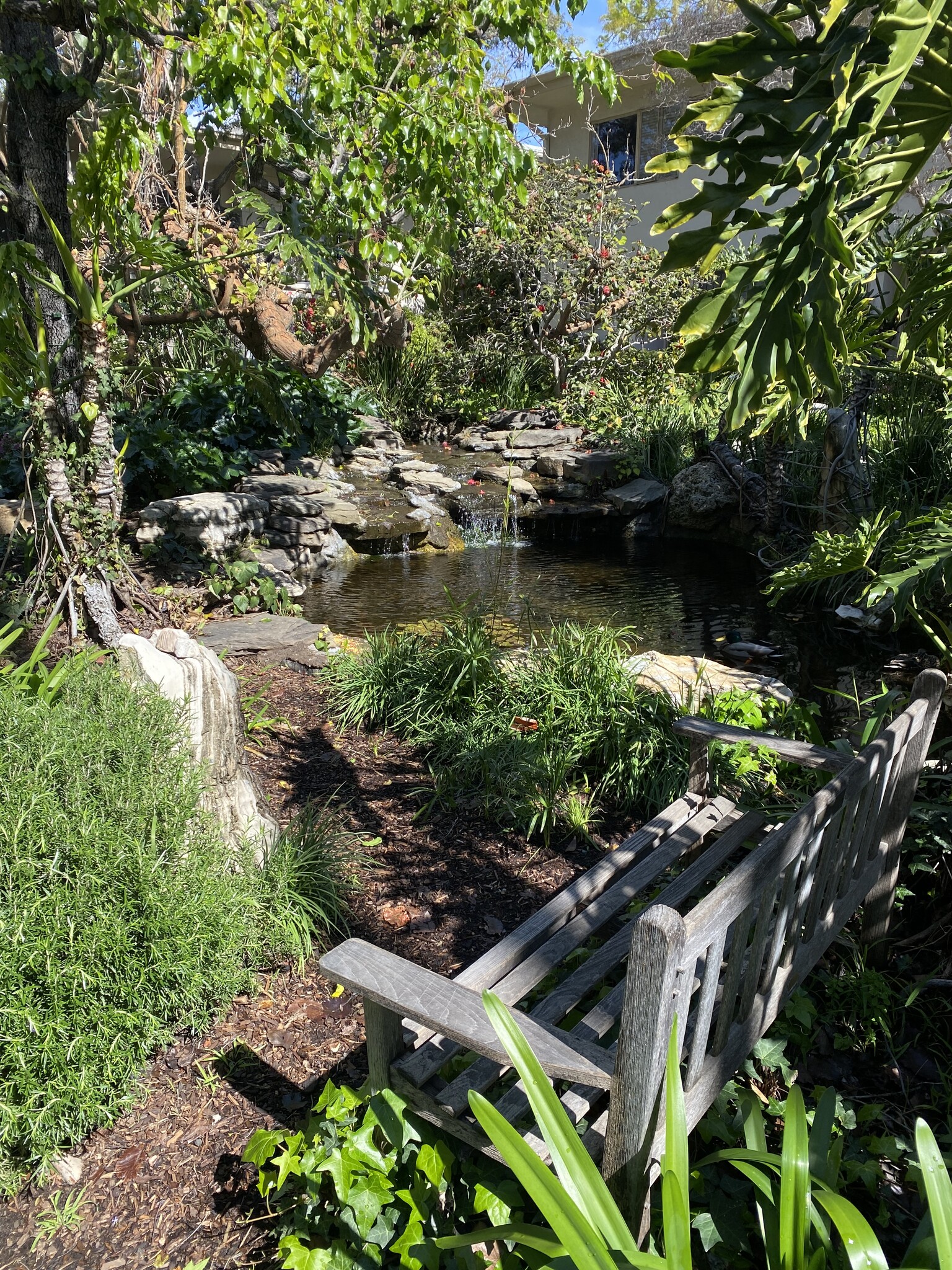 Pond with bench for quiet enjoyment - 241 S Barrington Ave
