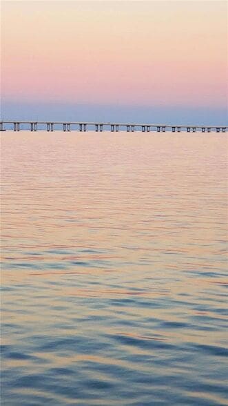 Building Photo - 19029 US Hwy 19 N