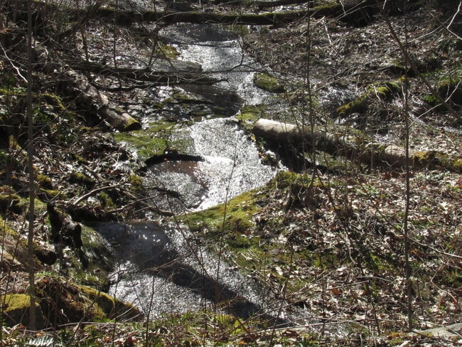 Building Photo - $1,400 - 2 Bedroom / 1 Bath Cabin in Tuckaseegee with Lovely Mountain View