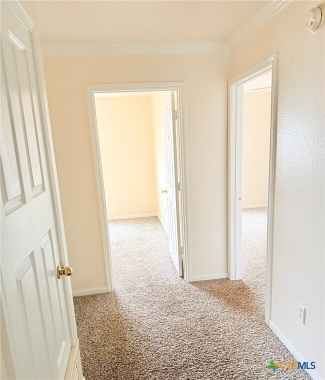 Building Photo - 102 Kings Ct