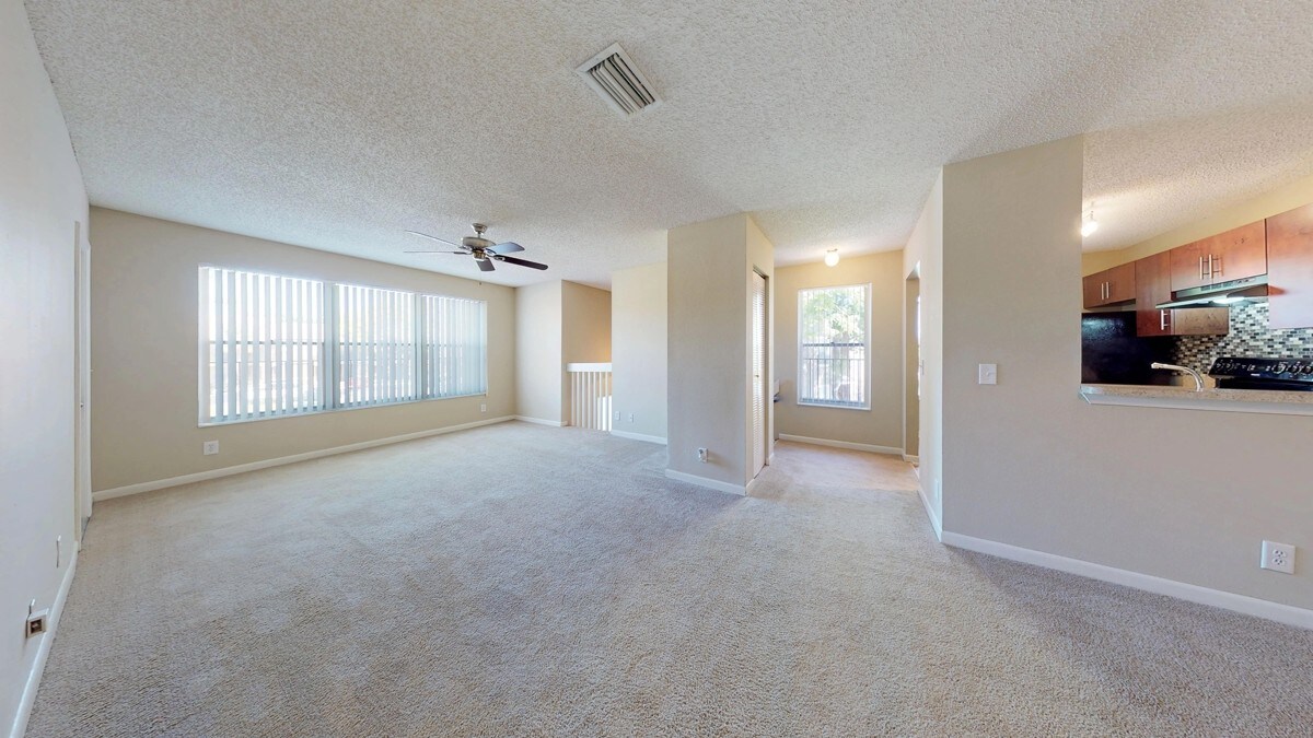 Coral Falls Coral Springs Coral Falls Coral Springs