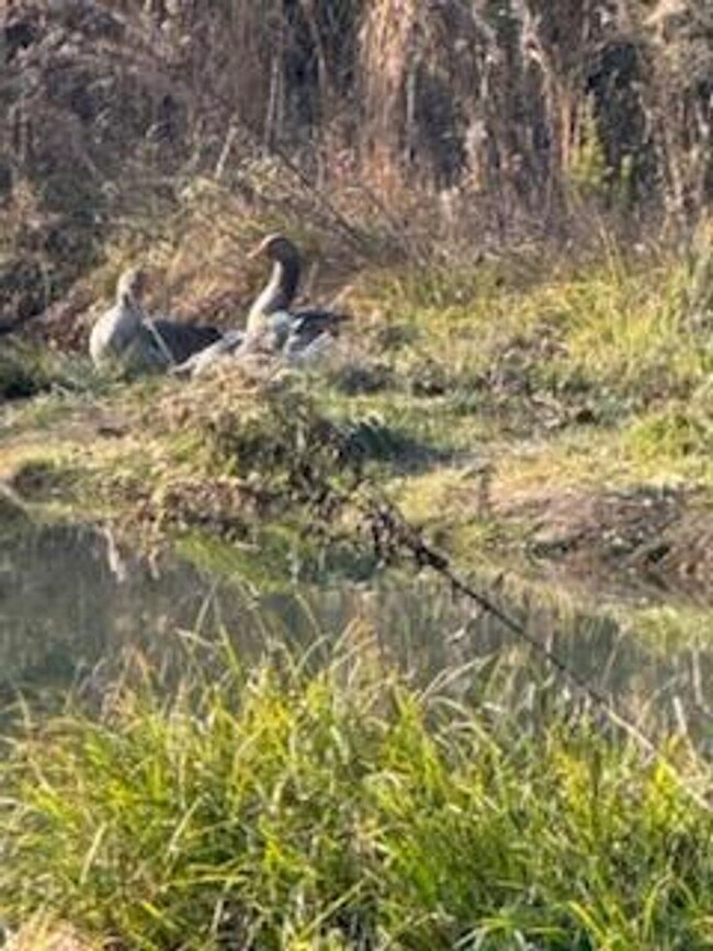 Building Photo - 4391 GA-225