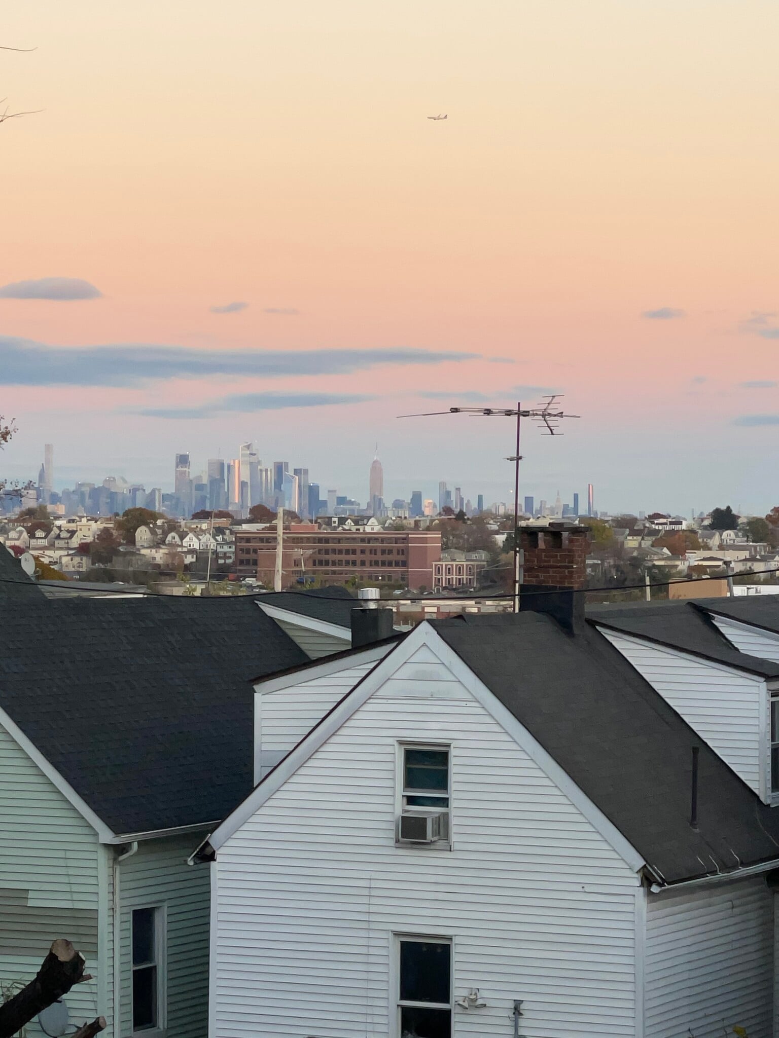 Backyard NYC Skyline - 245 Mount Prospect Ave