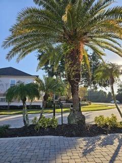 Building Photo - 602 Pinebranch Cir