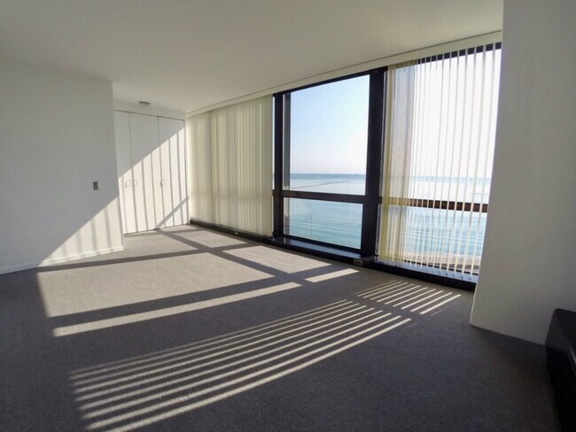 Building Photo - 900 N Lake Shore Dr
