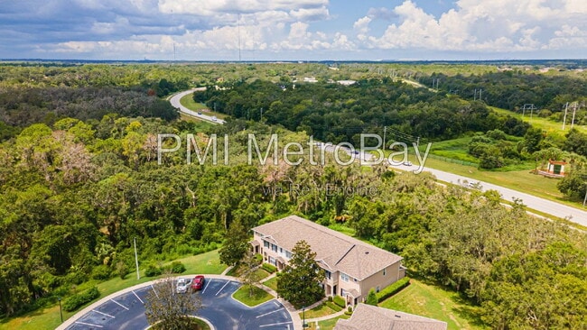 Building Photo - 15706 Fishhawk Falls Dr