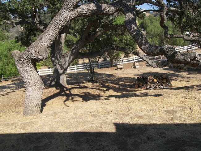 Building Photo - Fantastic Lot + View
