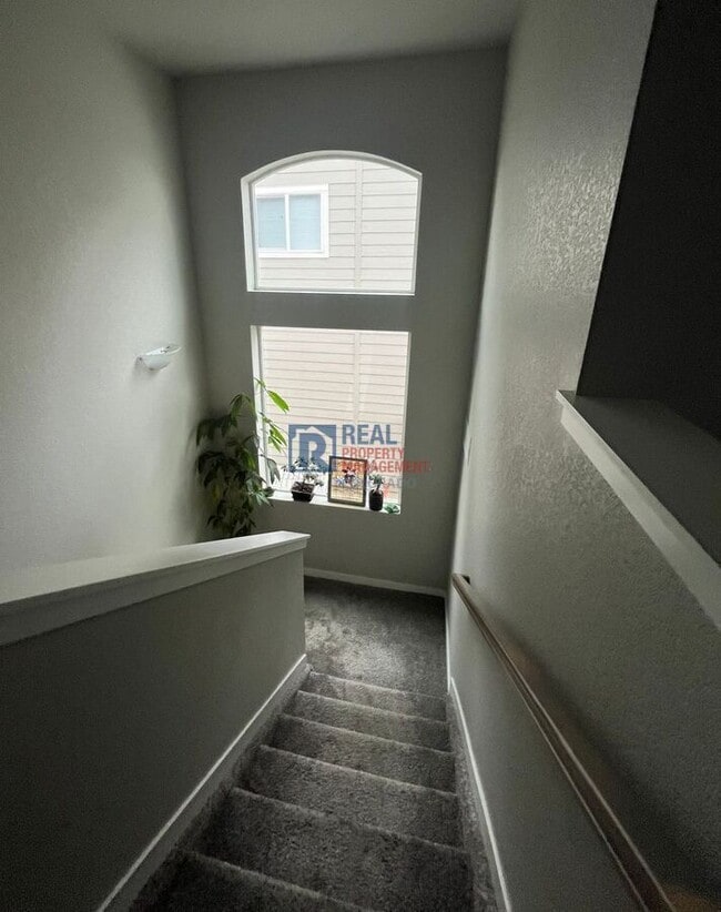 Building Photo - 420 Ryan Ave