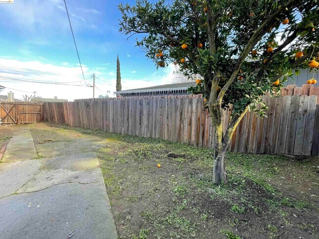 Building Photo - 32 O Neil Ct