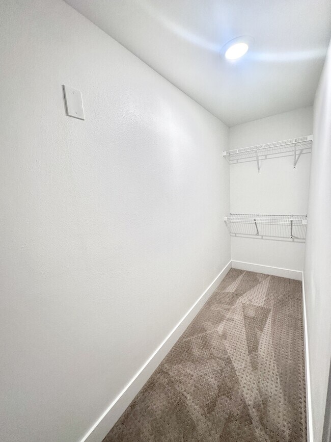 Building Photo - 4004 Blue Pine Ln