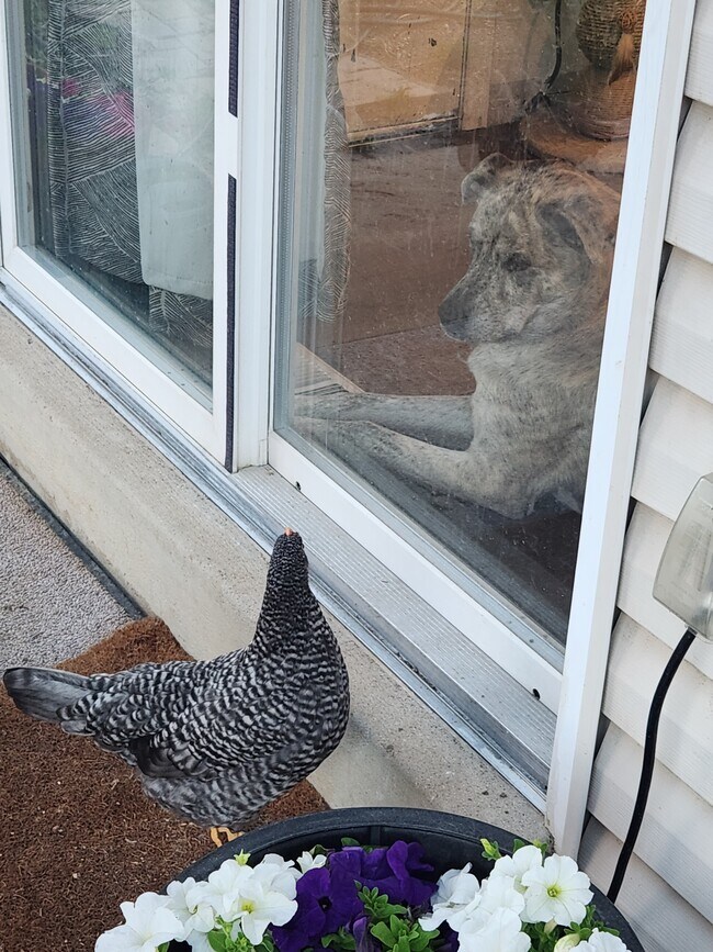 Building Photo - 10913 Forest Cir