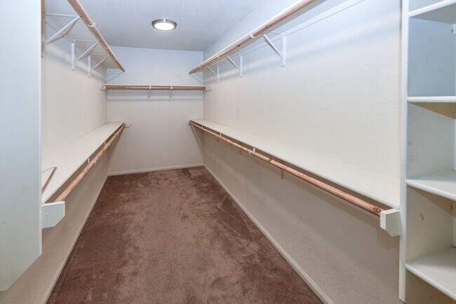 Building Photo - Elegant 4BR/3BA Home with Fireplace, Bonus Room and Open Layout!