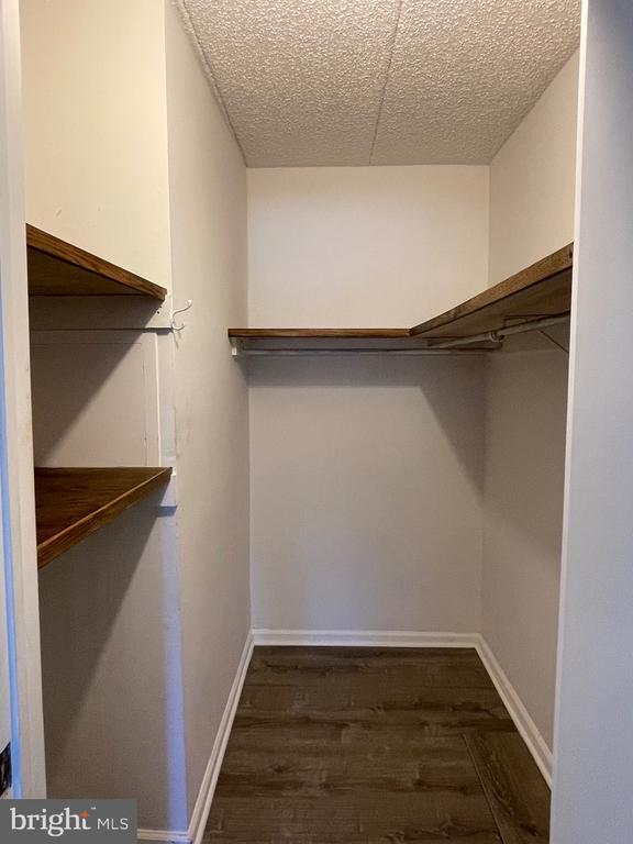 Building Photo - 50 Le Forge Ct