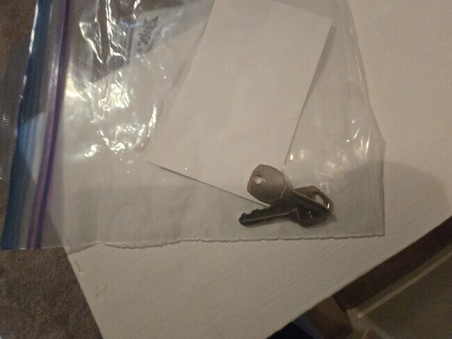 Building Photo - "Charming 1-Bedroom Condo Retreat in Tampa's Serene Villa View Circle"