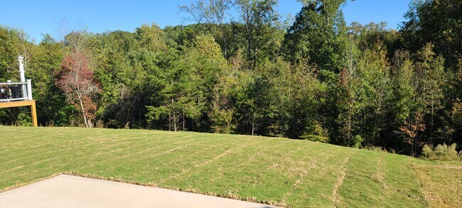 Building Photo - 726 Judah Dr