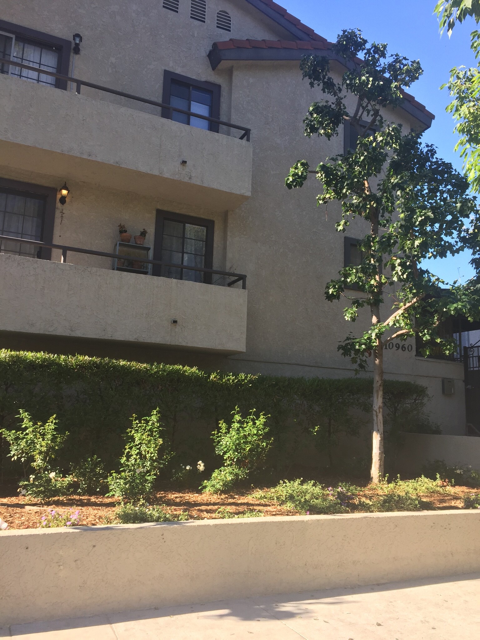 Building Photo - 10960 Bluffside Dr
