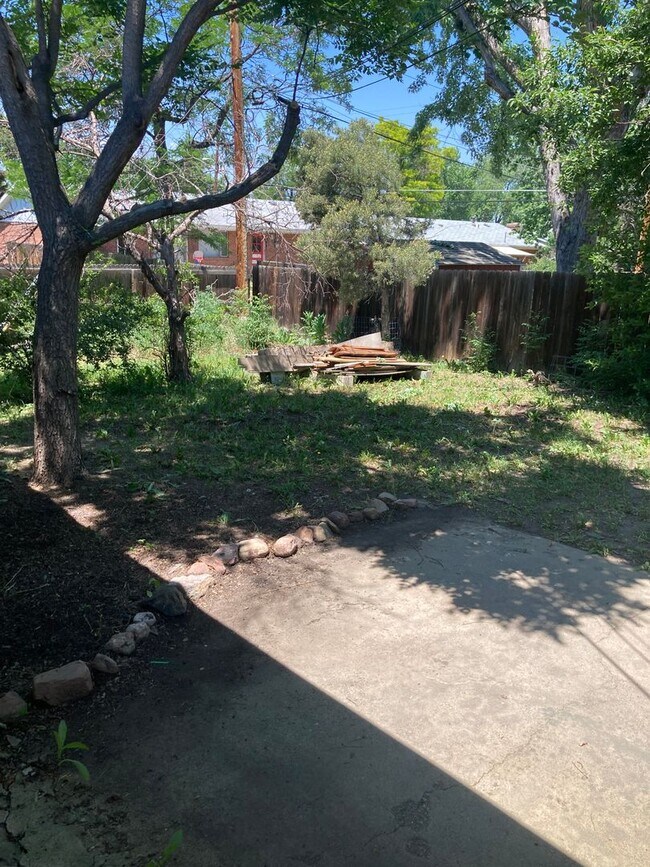 Building Photo - Huge 5BR, large yard, fireplace, big rooms! (Bellaire)