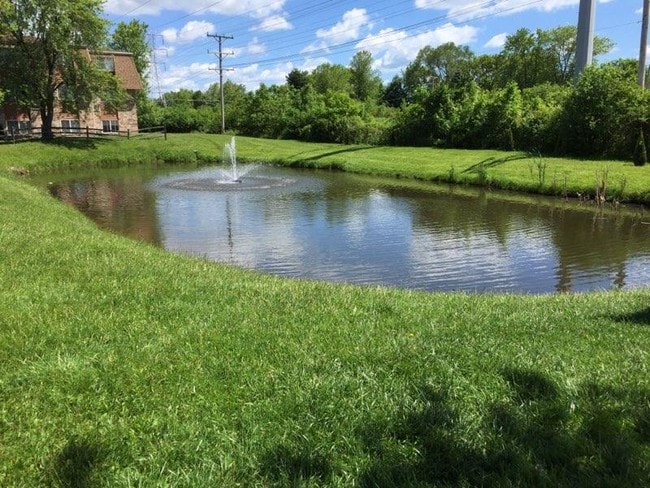 Primary Photo - Hinkston Pond Apartments