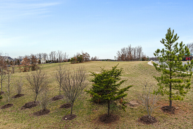 Building Photo - 11900 Waterton Lake Ln