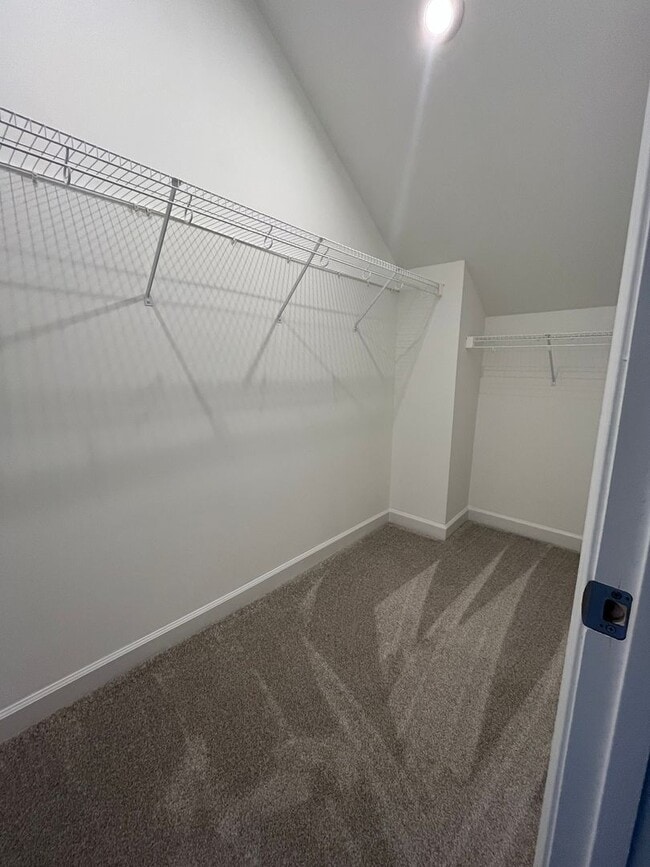 Building Photo - ***FIRST MONTH RENT FREE** BRAND NEW Townhouse in Preston Lake -