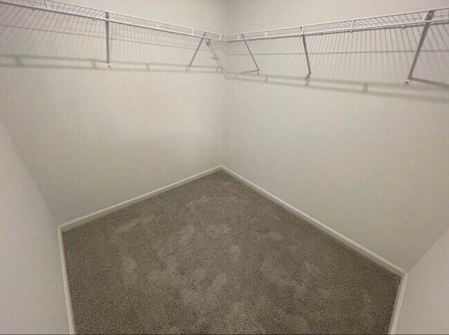 Building Photo - 2135 Twisted Cedar Ct