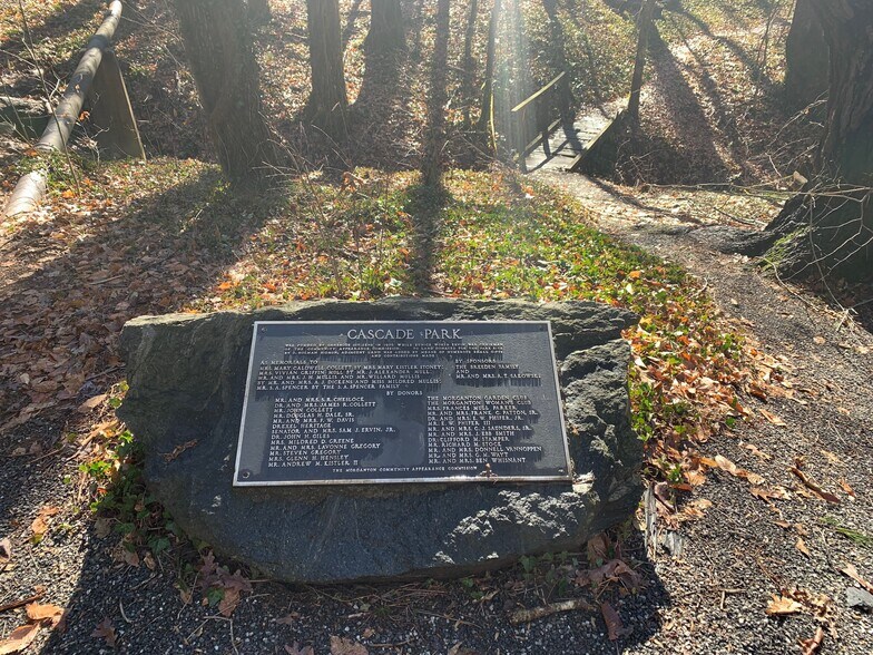 park next doot - 217 Morehead St