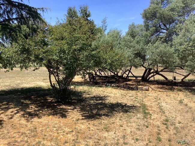 Building Photo - Sebastopol country property