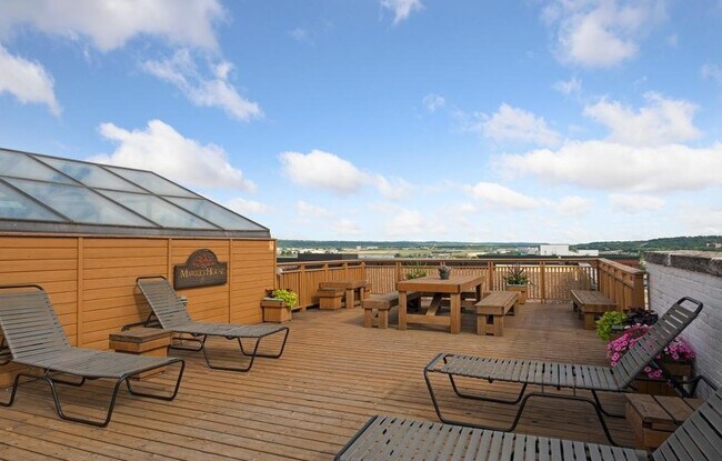 Rooftop deck. - 289 5th St