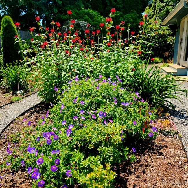 Hummingbird's garden - 8120 Kitamat Way