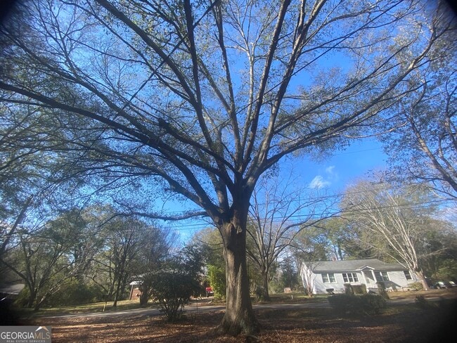 Building Photo - 155 Mimosa Dr