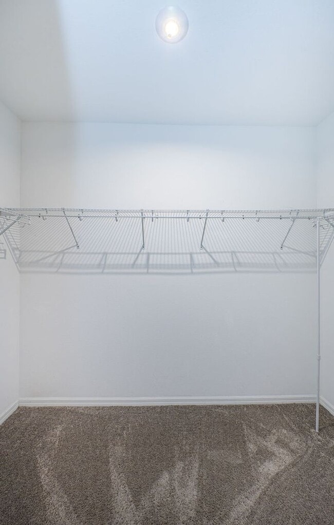 Building Photo - Large 3/3/2 Townhome Carrollwood