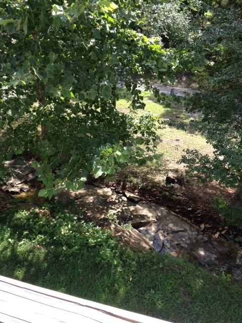 Building Photo - Single-Family Home in Branson