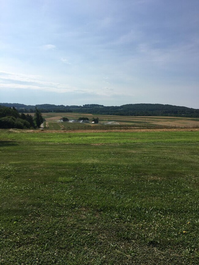 Building Photo - 3356 Days Mill Rd