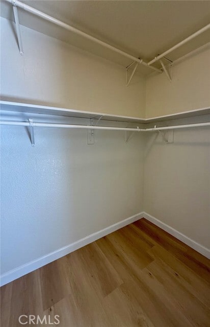 Building Photo - 16000 Carlton Ct