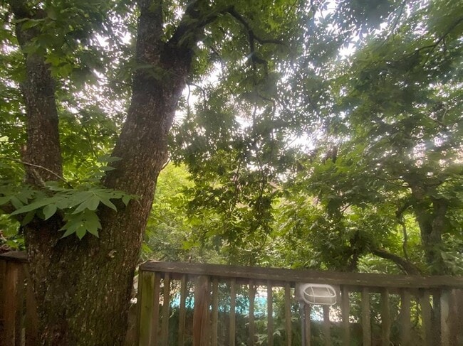 Building Photo - 4425 Ione St