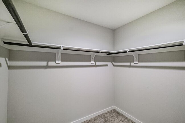 Building Photo - 12534 Newport Arch Ln