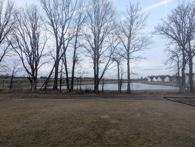 Building Photo - 8246 Woodstar Dr