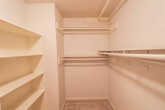 Building Photo - 15626 Canterbury Forest Dr