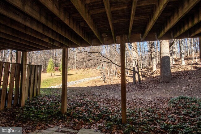 Building Photo - 10923 Whiterim Dr