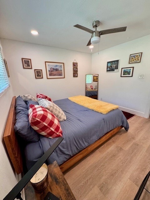 Building Photo - 2204 Palmera Cove