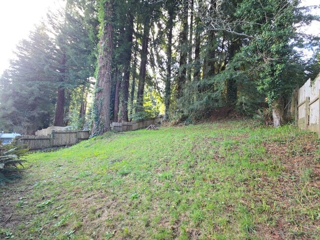 Building Photo - 3BD Sunny Brae home nestled in the Redwoods!