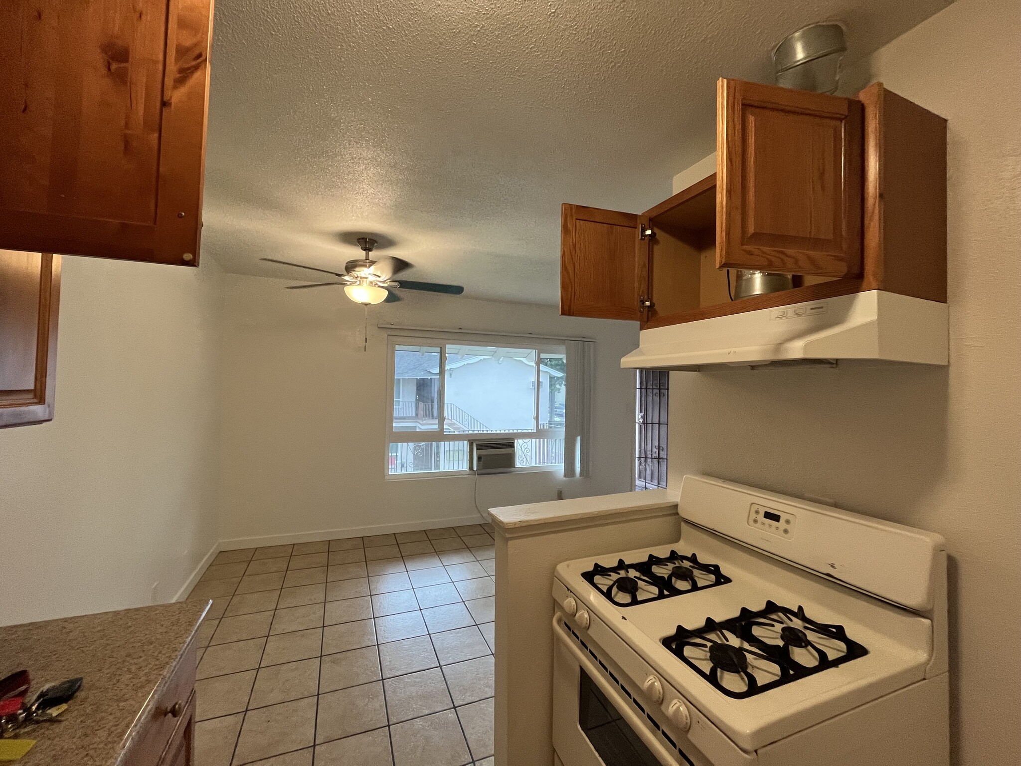 Kitchen - 207 S Lillie Ave