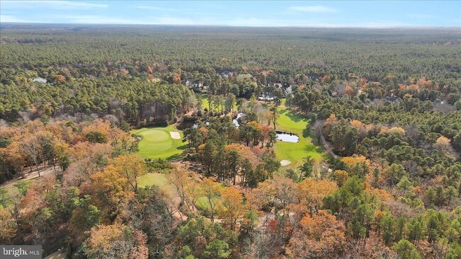 Building Photo - 1 Sweet Gum Ct